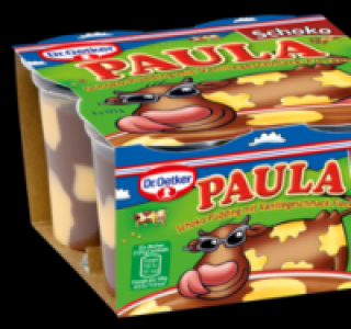 DR. OETKER Paula Pudding 1.19 €