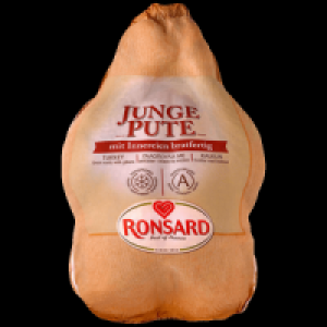 Ronsard Junge Pute