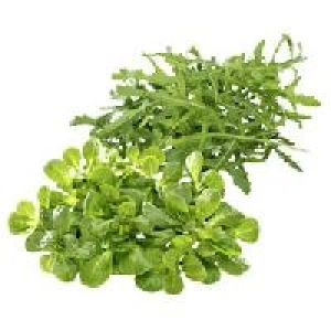 Frankreich Feldsalat oder Italien Rucola Salat 0.79&nbsp;&euro;