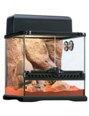 Terrarium-Set Desert 173.44&nbsp;&euro;