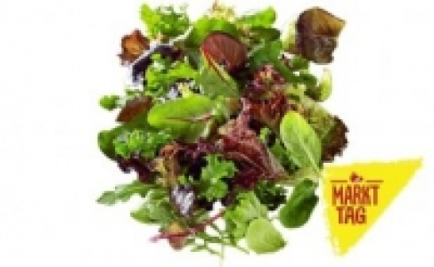 Pfl&uuml;cksalat 0.99&nbsp;&euro;