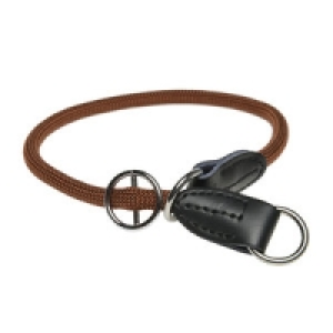 AniOne Nylon Retriever-Halsband Activity