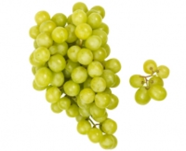 Trauben hell kernlos, lose