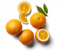 Kaufland  K Bio spanische/italienische Orangen