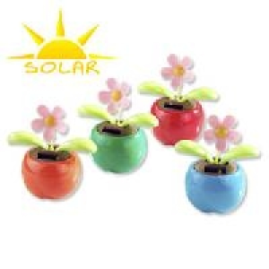 Solar-Wackelblume