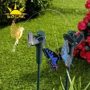 Tanzender Schmetterling oder Kolibri