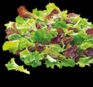 Pfl&uuml;cksalat 0.99&nbsp;&euro;