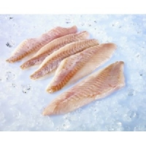Rotbarschfilet
