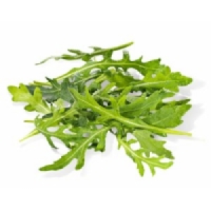 Rucola
