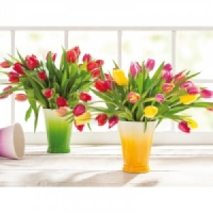 Tulpenstrauß 1.99 €