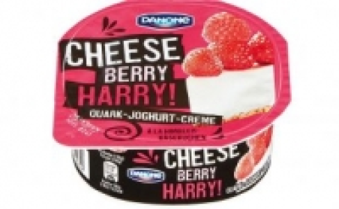 Danone Quark Joghurt Creme 0.55&nbsp;&euro;