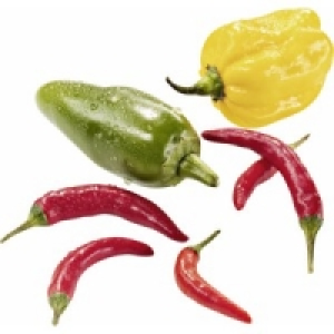Chili