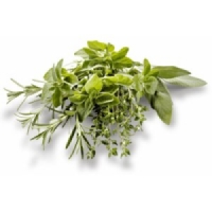 Frische Kr&auml;uter