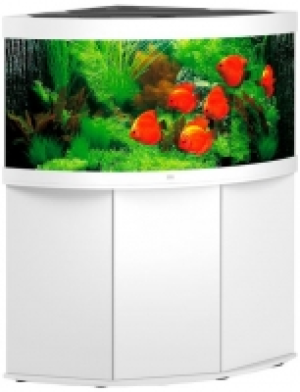 : Aquarien-Set Trigon 350 LED + SBX Trigon 350, BxTxH: 123x87x138 cm,