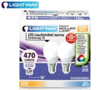 LIGHTWAY&reg;LED-Leuchtmittel, nicht dimmbar, 2er-Set