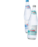 Ebl Naturkost Plose Natürliches Mineralwasser Mehrwegflasche