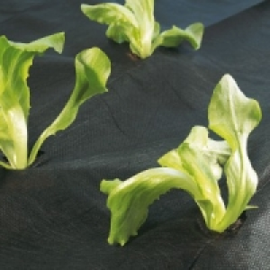 Gartenvlies 2.99 €