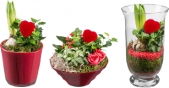 Valentins-Mix 5.99&nbsp;&euro;