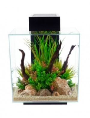 Aquarium &raquo;Edge II&laquo;