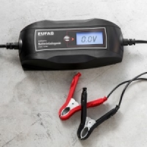 Intelligentes Batterieladegerät 17.99 €