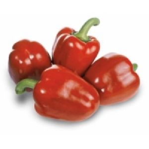 Paprika rot