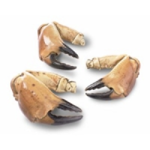 Taschenkrebsscheren