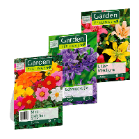 Aldi Nord Garden Feelings Frühjahrs-Blumenzwiebeln