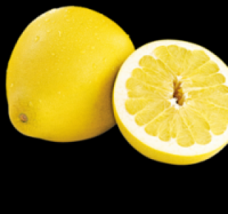 Honigpomelo 1.29&nbsp;&euro;