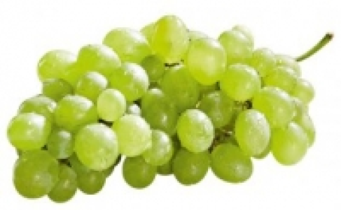 Trauben hell kernlos lose 3.99&nbsp;&euro;