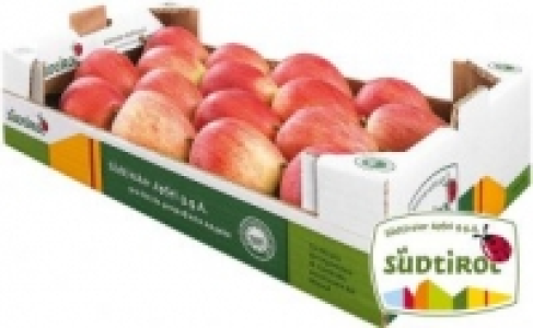 &Auml;pfel rot 5.99&nbsp;&euro;