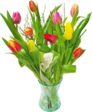 Tulpenstrauß 3.99 €