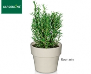 GARDENLINE&reg;Italienische Gew&uuml;rzkr&auml;uter