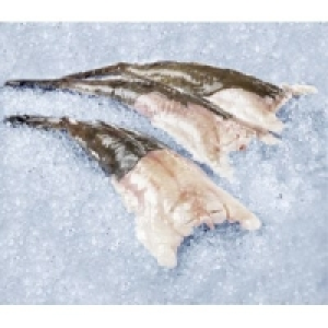 Seeteufelschw&auml;nze