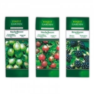 Beerensträucher 1.79 €