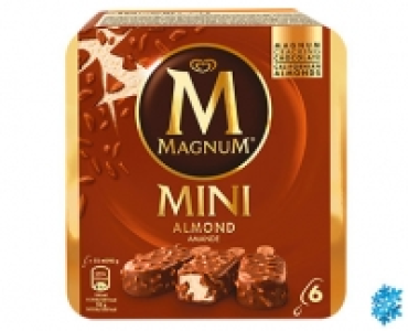 MAGNUM&reg;Mini