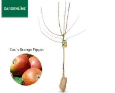 GARDENLINE®Obstbaum 4.99 €