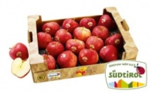 &Auml;pfel rot 4.99&nbsp;&euro;