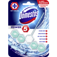 Rossmann Domestos WC-Stein Power 5 Hygiene mit Chlor