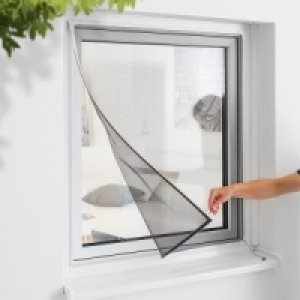 Magnet-Fliegengitter 9.99 €