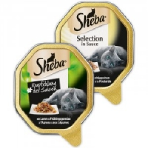 Selection in Sauce 0.35 €