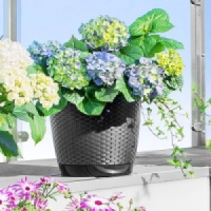 Blumentopf 6.99 €