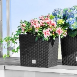 Blumentopf 9.99 €