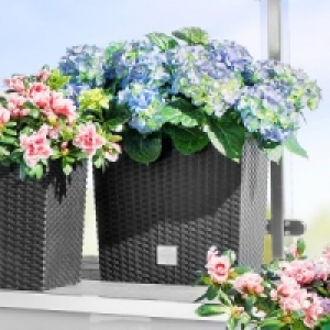 Blumentopf 14.99 €