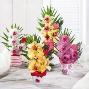 Orchideengesteck 4.99 €