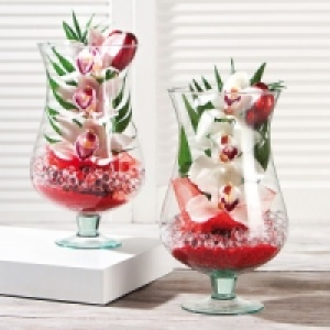 Cymbidium 9.99 €