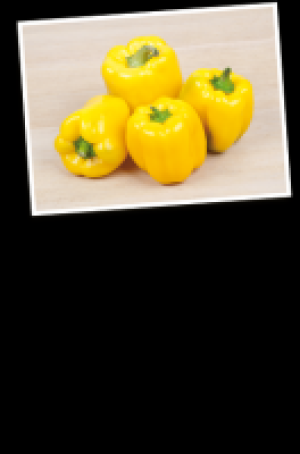 Gelbe Paprika 3.97 €
