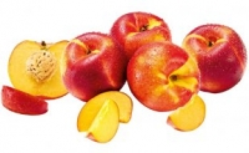 Nektarinen gelbfleischig 1.79&nbsp;&euro;