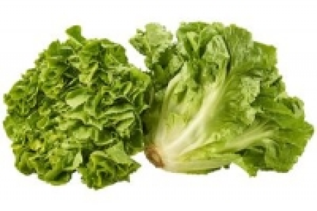 Salat 1.11 €