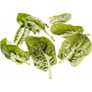 Blattspinat 1.49&nbsp;&euro;