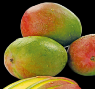 Faserarme Mango 0.69 €